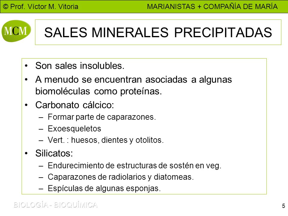 Funciones de las sales minerales disueltas en el organismo
